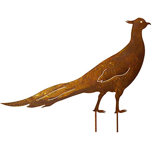 Blümelhuber Fasan Gartenstecker - Metall Edelrost Dekofigur Blümelhuber Fasan Gartenstecker - Metall Edelrost Dekofigur von Blümelhuber