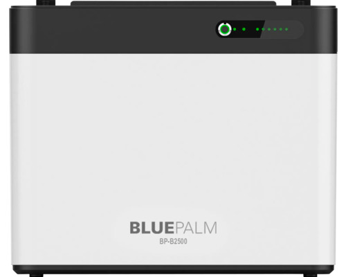 Bluepalm Bp B2500 Balkonkraftwerkspeicher 2240 Wh Li Fe Po4 Akku 2 X 500 Watt B-Ware von Bluepalm