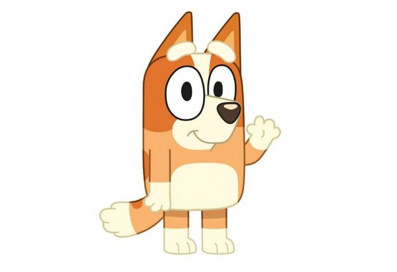 Bluey Dekokissen Kissen Velours Kissen Ideal als Dekokissen von Bluey