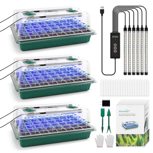 3 Stück Setzling Starter Tabletts mit Wachstumslicht, 120 Zellen Sämling Tablett mit Luftfeuchtigkeitskuppel, Mini Gewächshaus Anzucht Set für verwurzelte Setzlinge, Timed Light Pflanzen Starter Set von BlumWay