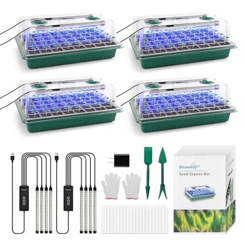4 Stück Setzling Starter Tabletts mit Wachstumslicht, 160 Zellen Sämling Tablett mit Luftfeuchtigkeitskuppel, Mini Gewächshaus Anzucht Set für verwurzelte Setzlinge, Timed Light Pflanzen Starter Set von BlumWay