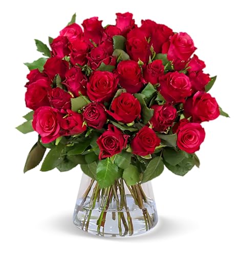Blume Ideal Rosenstrauß | 20 Rote Rosen | Ø 40–50 cm | Premium Rosen von Floristen | Top Qualität | 7-Tage-Frischegarantie | Ideales Blumengeschenk von Blume Ideal