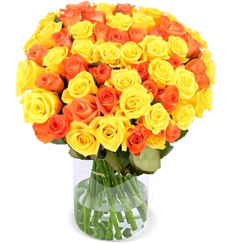 Blume Ideal Rosenstrauß - 50 Rosen - Gelb & Orange - Ø 40–50 cm - Echte premium Blumen für Hochzeit & Deko - 7 Tage Frischegarantie - in verschiedenen Farben und Mengen Blume Ideal Rosenstrauß - 50 Rosen - Gelb & Orange - Ø 40–50 cm - Echte premium Blumen für Hochzeit & Deko - 7 Tage Frischegarantie - in verschiedenen Farben und Mengen von Blume Ideal