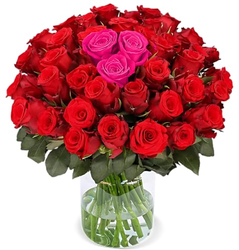 Blume Ideal Rosenstrauß - 50 Rosen - Heartbeat - Ø 40–50 cm - Echte premium Blumen für Hochzeit & Deko - 7 Tage Frischegarantie - in verschiedenen Farben und Mengen Blume Ideal Rosenstrauß - 50 Rosen - Heartbeat - Ø 40–50 cm - Echte premium Blumen für Hochzeit & Deko - 7 Tage Frischegarantie - in verschiedenen Farben und Mengen von Blume Ideal