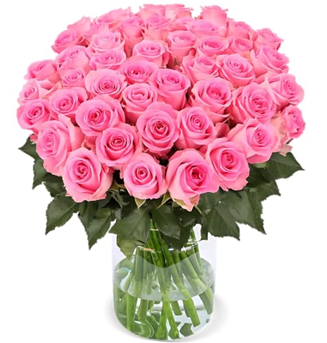 Blume Ideal Rosenstrauß - 60 Rosen - Pink - Ø 40–50 cm - Echte premium Blumen für Hochzeit & Deko - 7 Tage Frischegarantie - in verschiedenen Farben und Mengen von Blume Ideal