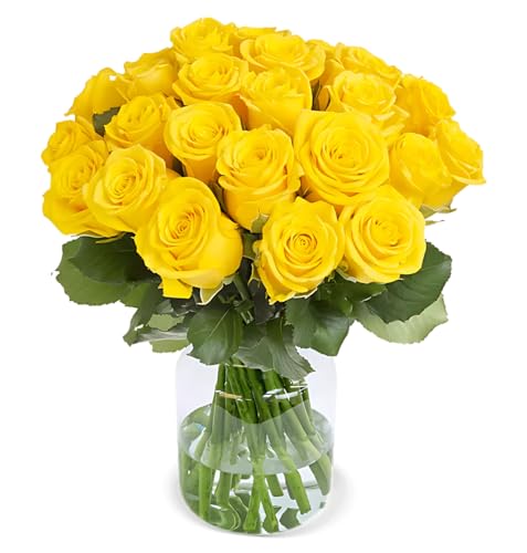 Blume Ideal Rosenstrauß - 60 Rosen in Gelb - Ø 40–50 cm - Echte premium Blumen für Hochzeit & Deko - 7 Tage Frischegarantie - in verschiedenen Farben und Mengen von Blume Ideal