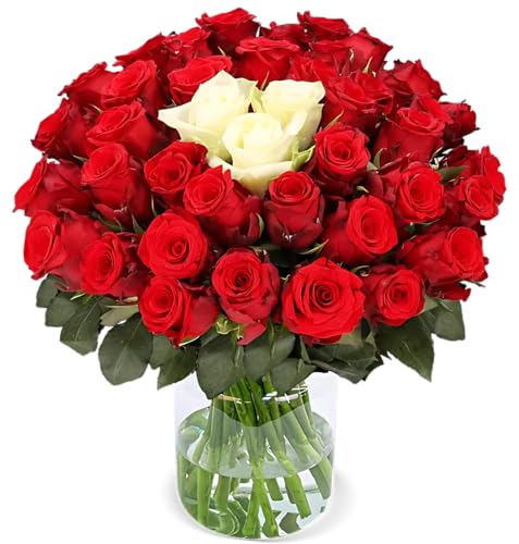 Blume Ideal Rosenstrauß "Sweetheart" | 20 Rot-Weiße Rosen | Ø 40–50 cm | Premium Rosen von Floristen | Top Qualität | 7-Tage-Frischegarantie | Ideales Blumengeschenk von Blume Ideal