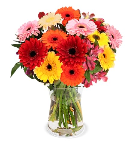 Blumenstrauß Gerberastrauß ”Leya", 7-Tage-Frischegarantie, Qualität vom Floristen, Ideales Blumengeschenk, Schneller Blumenversand von Blume Ideal