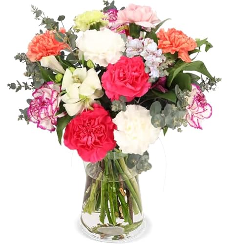 Blumenstrauß “Nelkenstrauß "Nele", 7-Tage-Frischegarantie, Qualität vom Floristen, Ideales Blumengeschenk, Schneller Blumenversand von Blume Ideal