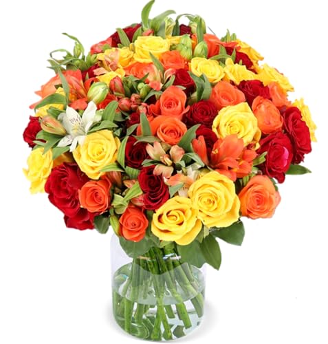 Blumenstrauß "Sunset", Bunte Inkalilien & Rosen in Weiß, Orange & Rot, 30 Stiele, Bis zu 100 Blüten, 7-Tage-Frischegarantie, Qualität vom Floristen, Ideales Blumengeschenk, Schneller Blumenversand von Blume Ideal