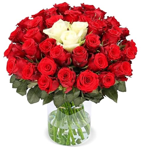 Rosenstrauß “Sweetheart”, Mit einem Herzen aus weißen Rosen, 50 rote und weiße Rosen, ⌀ 40-50cm, 7-Tage-Frischegarantie, Qualität vom Floristen, Ideales Blumengeschenk, Schneller Blumenversand von Blume Ideal