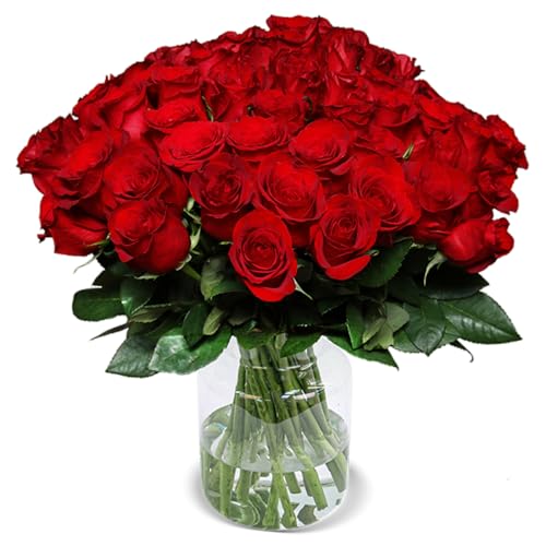 XXL Liebesbeweis, Rosenstrauß, 60 rote Rosen als Ideales Blumengeschenk, 50 cm, Qualität vom Floristen, 7-Tage-Frischegarantie, Schneller Blumenversand von Blume Ideal