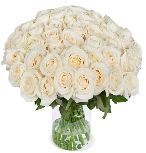 XXL Rosenstrauß, 50 Weiße Rosen als Ideales Blumengeschenk, 50 cm, Qualität vom Floristen, 7-Tage-Frischegarantie, Schneller Blumenversand von Blume Ideal