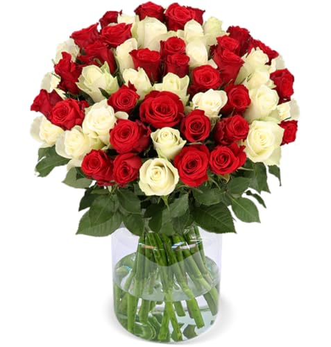 XXL Rosenstrauß, 50 rot-weiße Rosen als Ideales Blumengeschenk, 50 cm, Qualität vom Floristen, 7-Tage-Frischegarantie, Schneller Blumenversand von Blume Ideal