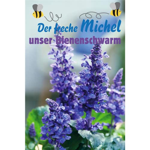 Der freche Michel - unser Bienenschwarm - Bayerische Pflanze des Jahres 2019, Salvia, im Topf 13 cm - 13 cm von Blumen Eber