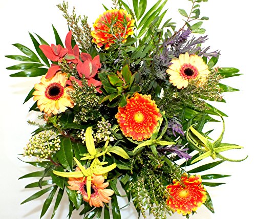 Blumenstrauß - bunter Winter - Ø 40cm + kostenlose Glückwunschkarte Blumenversand von Blumen-Senf