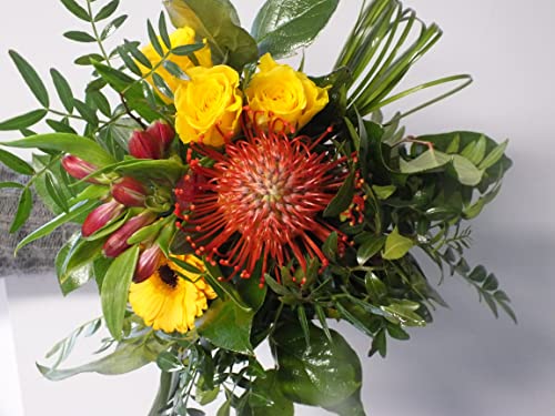 Blumenstrauß Farbtraum inkl Glückwunschkarte Blumenversand von Blumen-Senf
