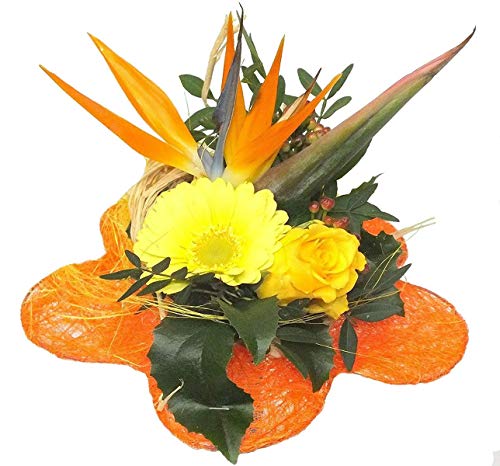 Blumenstrauß Exotic + Glasvase + Glückwunschkarte Blumenversand… von Blumen-Senf