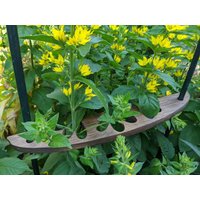 Pflanzenhalter Rankhilfe Holz, Blumenhalter Aus Vollholz Staudenstütze, Rustikale Landhaus Staudenstütze Pflanzenhalter Rankhilfe Holz, Blumenhalter Aus Vollholz Staudenstütze, Rustikale Landhaus Staudenstütze von BlumenTornadoDE