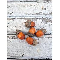 Deko Eicheln - Holzeicheln Dekoration 5 Stück Gelb Oder Rot von BlumenatelierShop