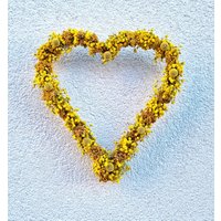 Herz Aus Trockenblumen Sonnenschein Gelb von BlumenatelierShop
