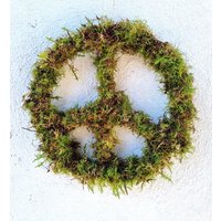 Moos Friedenszeichen Peace Zeichen von BlumenatelierShop