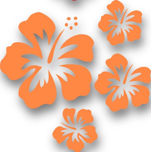 MIXED SET HIBSIKUS Blüten, 4 Stück orange Autoaufkleber Blumen Sticker Outdoor, Wandtattoo & Fensterbild Hibiscus Hawaii von Blumenauto