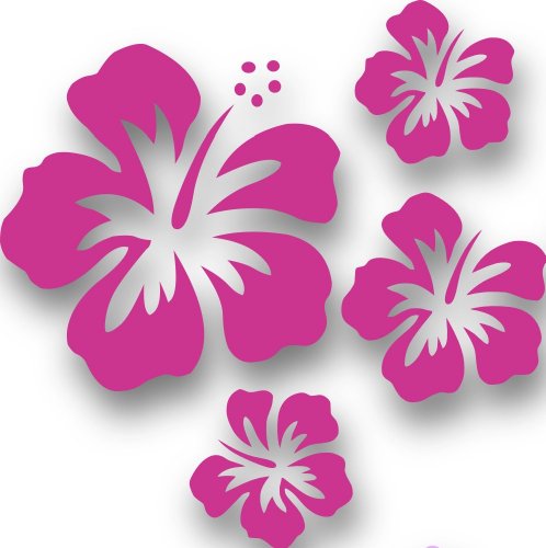 Mixed Set HIBSIKUS Blüten, 4 Stück Pinke Autoaufkleber Blumen Sticker Outdoor, Wandtattoo & Fensterbild Hibiscus Hawaii von Blumenauto