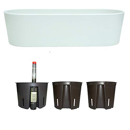 Set5 Kunststoff Flori Pflanzschale Weiss für Hydrokultur L 36.0cm B 13.5cm H 11.0cm Set5 Kunststoff Flori Pflanzschale Weiss für Hydrokultur L 36.0cm B 13.5cm H 11.0cm von Blumenkasten Kunststoff + Bewässerungssystem