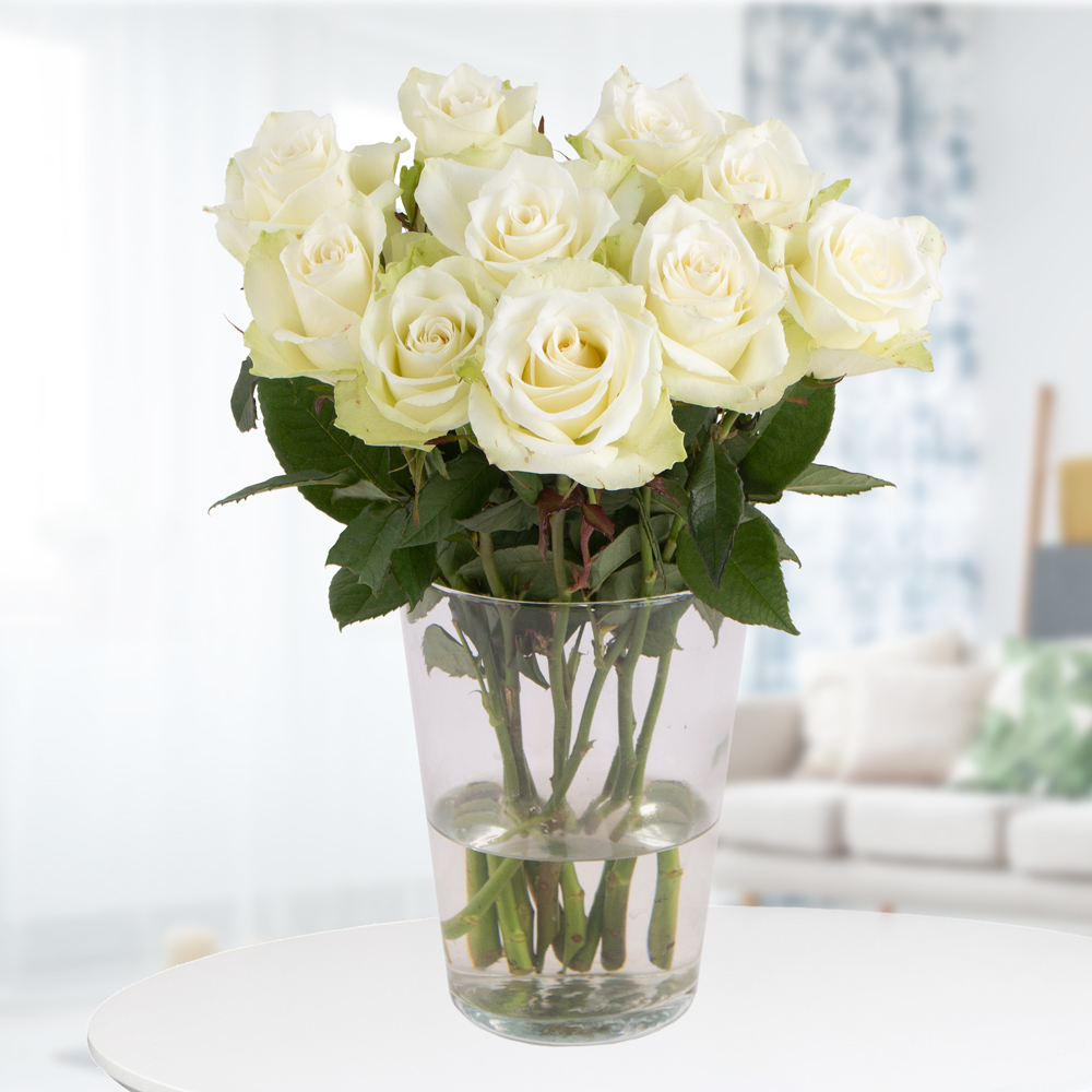 10 Weiße Rosen (50cm) von Blumenshop.de