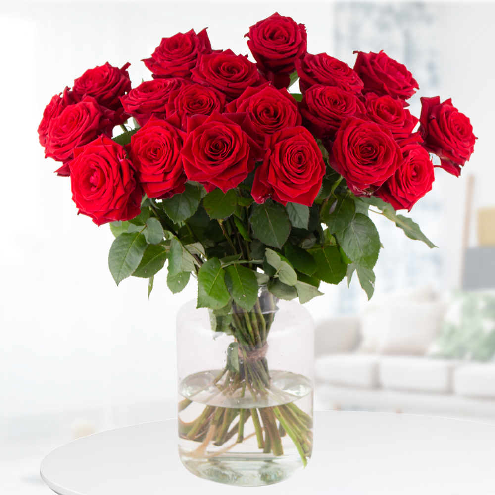 Rote Premium-Rosen Red Naomi (60cm) von Blumenshop.de