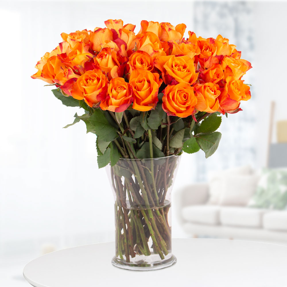 40 Orange Rosen (40cm) von Blumenshop.de