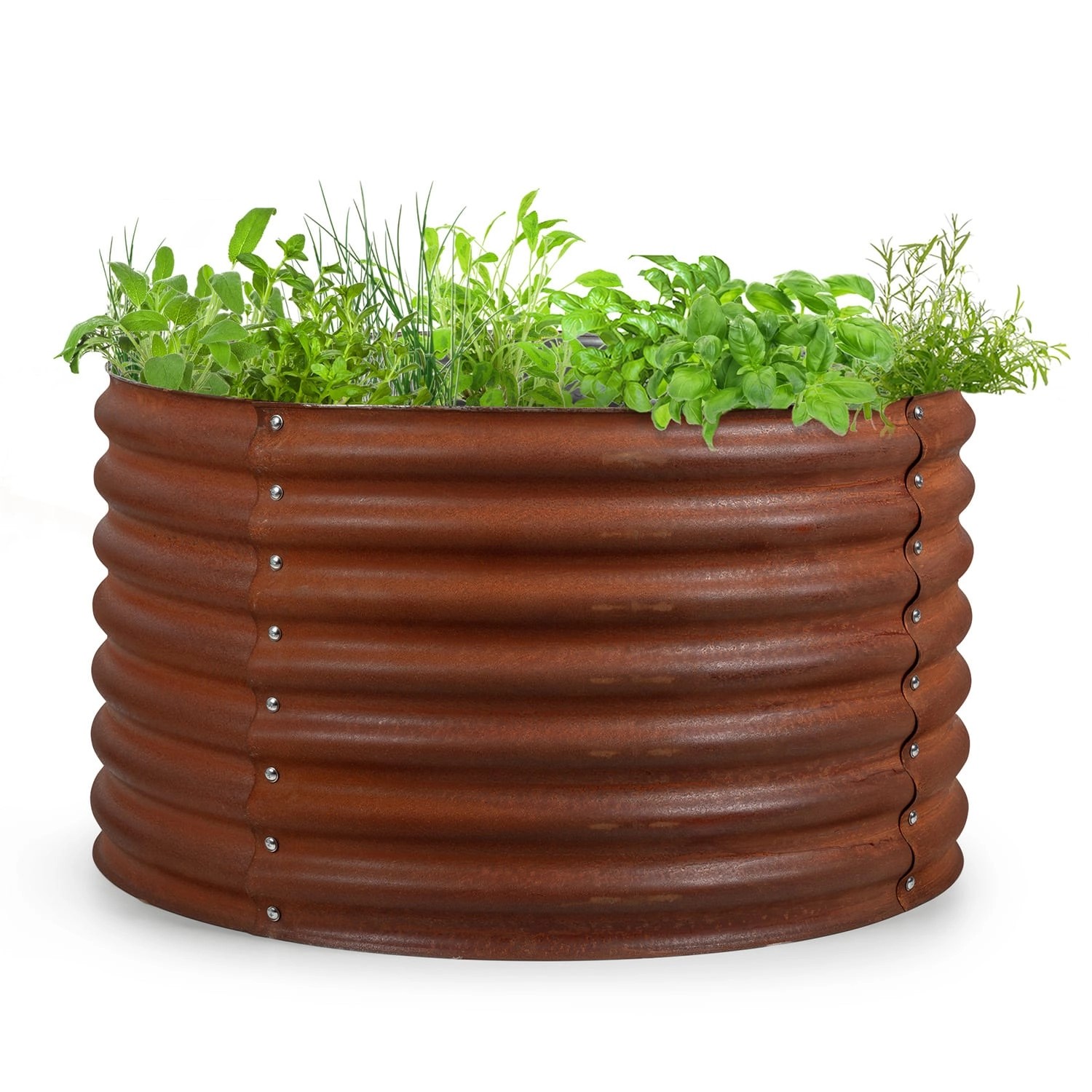 Blumfeldt Rust Grow Hochbeet Gartenbeet Verzinktes Stahlblech Rost-Finish 100x60x100 cm Rund Rostrot Blumfeldt Rust Grow Hochbeet Gartenbeet Verzinktes Stahlblech Rost-Finish 100x60x100 cm Rund Rostrot von Blumfeldt