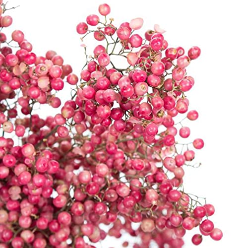 1 Bund - Pfefferbeeren – getrocknet in Rosa 1 Bund - Pfefferbeeren – getrocknet in Rosa von Blumigo