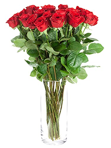 10 rote Rosen im Bund - frische echte Stiele in Premium-Qualität - 60 cm – Frischegarantie von Blumigo