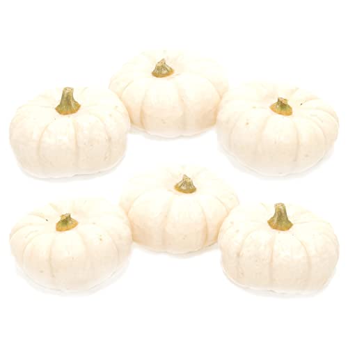 Baby Boo Kürbisse echt in Weiß - 6 Stück - ca. 6-8 cm Durchmesser - Weisse Zierkürbisse frisch - Moderne Herbstdekoration für Halloween von Blumigo