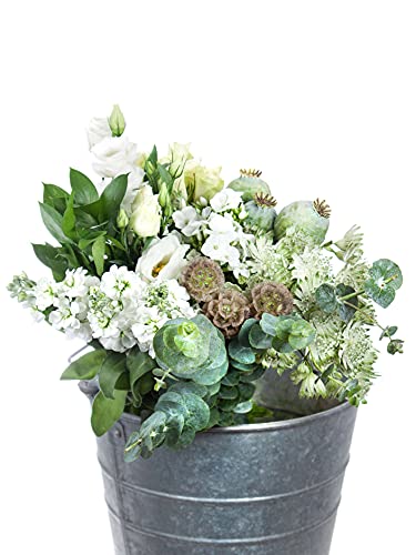 Blumen Mischung mit grün-weißen Blumen - Sortenmischung auf dem Bild musterhaft - ohne Metalleimer Blumen Mischung mit grün-weißen Blumen - Sortenmischung auf dem Bild musterhaft - ohne Metalleimer von Blumigo