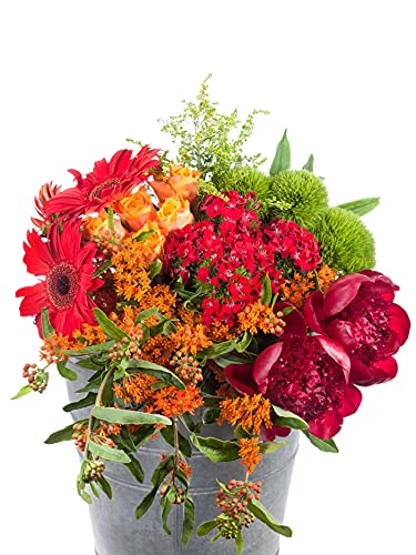Blumen Mischung mit rot-orangen Blumen - Sortenmischung auf dem Bild musterhaft - ohne Metalleimer von Blumigo