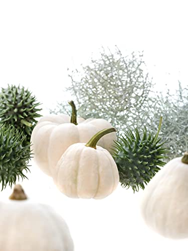 Herbstdekorations Set mit einer Mischung in grün weißen Farben von Blumigo