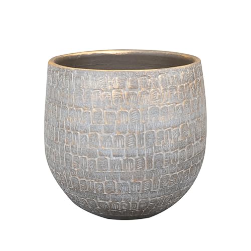 Blumixx Blumentopf Renzo 15 cm Durchmesser in Shiny Grey - Handgefertigter Übertopf aus Keramik, Pflanzengefäß mit stilvoller Goldener Oberfläche – Pflanzentopf Klassisch & Modern Blumixx Blumentopf Renzo 15 cm Durchmesser in Shiny Grey - Handgefertigter Übertopf aus Keramik, Pflanzengefäß mit stilvoller Goldener Oberfläche – Pflanzentopf Klassisch & Modern von Blumixx