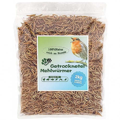 Getrocknete Mehlwürmer 13L (2kg) – Premium Insektensnack für Wildvögel, Igel, Fische & Reptilien – Hochwertiges Ganzjahresfutter mit hohem Proteingehalt für draußen – Blumixx Jan-Pet Premium von Blumixx