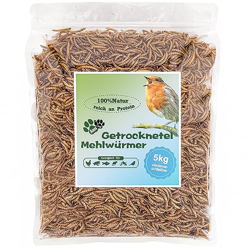 Getrocknete Mehlwürmer 32L (5kg) – Premium Insektensnack für Wildvögel, Igel, Fische & Reptilien – Hochwertiges Ganzjahresfutter mit hohem Proteingehalt für draußen – Blumixx Jan-Pet Premium von Blumixx