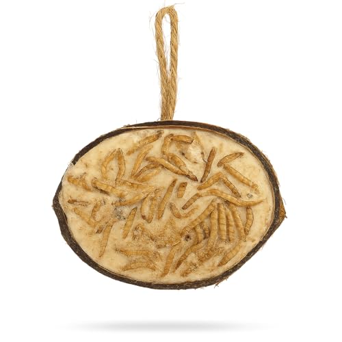 Blumixx Vogelfutter Kokosnusshälften mit Mehlwürmern – Proteinreiches Wildvogelfutter, Ganzjahresfutter zum Aufhängen, geeignet für Vögel & Eichhörnchen, 16 Stück von Blumixx