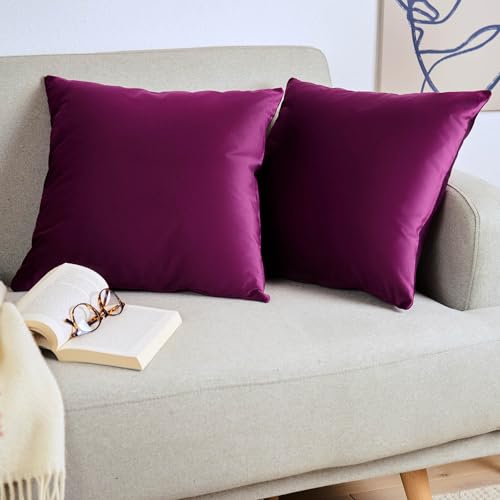 Blumtal 2er Set Kissenbezug 30x50 cm Violett - dekorativer Samt Kissenbezug mit verstecktem Reißverschluss, Kissenhülle für Zierkissen Deko-Kissen Polster Sofakissen & Couchkissen, waschbar Blumtal 2er Set Kissenbezug 30x50 cm Violett - dekorativer Samt Kissenbezug mit verstecktem Reißverschluss, Kissenhülle für Zierkissen Deko-Kissen Polster Sofakissen & Couchkissen, waschbar von Blumtal