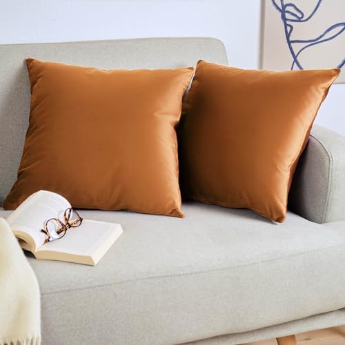 Blumtal 2er Set Kissenbezug 30x50 cm Braun - dekorativer Samt Kissenbezug mit verstecktem Reißverschluss, Kissenhülle für Zierkissen Deko-Kissen Polster Sofakissen & Couchkissen, waschbar von Blumtal