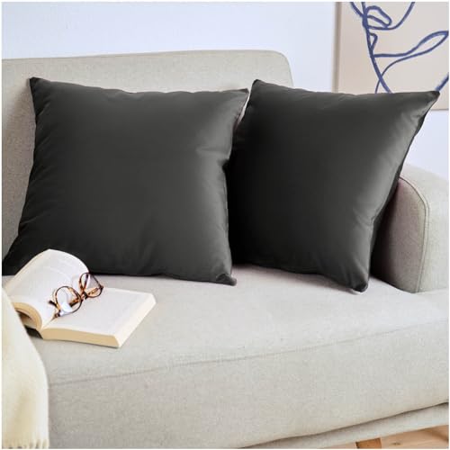 Blumtal 2er Set Kissenbezug 40x40 cm Anthrazit - dekorativer Samt Kissenbezug mit verstecktem Reißverschluss, Kissenhülle für Zierkissen Deko-Kissen Polster Sofakissen & Couchkissen, waschbar Blumtal 2er Set Kissenbezug 40x40 cm Anthrazit - dekorativer Samt Kissenbezug mit verstecktem Reißverschluss, Kissenhülle für Zierkissen Deko-Kissen Polster Sofakissen & Couchkissen, waschbar von Blumtal