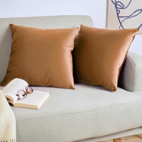 Blumtal 2er Set Kissenbezug 60x60 cm Hellbraun - dekorativer Samt Kissenbezug mit verstecktem Reißverschluss, Kissenhülle für Zierkissen Deko-Kissen Polster Sofakissen & Couchkissen, waschbar Blumtal 2er Set Kissenbezug 60x60 cm Hellbraun - dekorativer Samt Kissenbezug mit verstecktem Reißverschluss, Kissenhülle für Zierkissen Deko-Kissen Polster Sofakissen & Couchkissen, waschbar von Blumtal