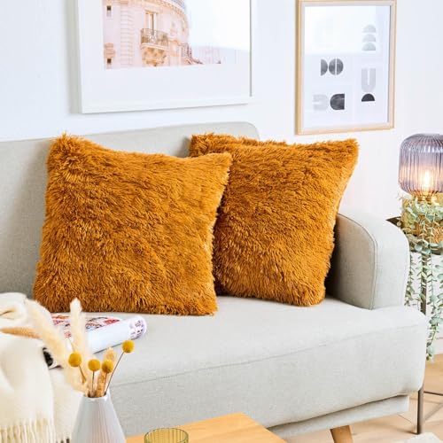 Blumtal 2er Set Kuscheliger Kissenbezug 45x45 cm - Dekokissen aus Kunstfell mit Reißverschluss weiche Kissenhülle - Flauschiger Bezug für Sofakissen Couchkissen, Oeko-Tex Zertifiziert, Braun Blumtal 2er Set Kuscheliger Kissenbezug 45x45 cm - Dekokissen aus Kunstfell mit Reißverschluss weiche Kissenhülle - Flauschiger Bezug für Sofakissen Couchkissen, Oeko-Tex Zertifiziert, Braun von Blumtal