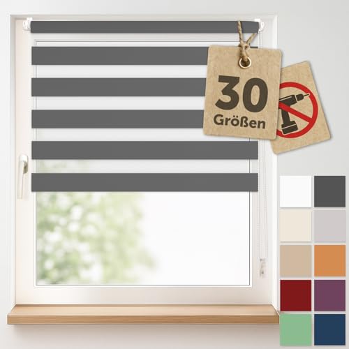 Blumtal Doppelrollo Klemmfix ohne Bohren 90x130 cm - individuell einstellbare Rollos für Fenster ohne Bohren - Fenster Rollos für Innen - leicht installierbare Jalousie Fensterrollo in Anthrazit Blumtal Doppelrollo Klemmfix ohne Bohren 90x130 cm - individuell einstellbare Rollos für Fenster ohne Bohren - Fenster Rollos für Innen - leicht installierbare Jalousie Fensterrollo in Anthrazit von Blumtal