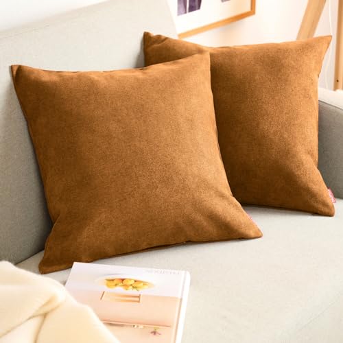 Blumtal 2er Set Kissenbezug 50x50 Gold - kuschelige Chenille Kissenbezüge mit verstecktem Reißverschluss, Oekotex Zertifizierte Kissenhülle für Deko-Kissen Sofakissen Polster & Zierkissen von Blumtal